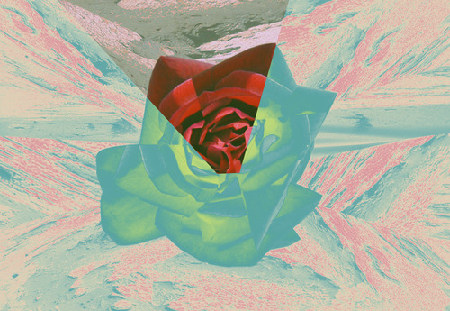 Misplaced and displaceda
